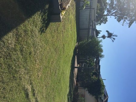 12 Lorraine Street, CHARLESTOWN, NSW 2290