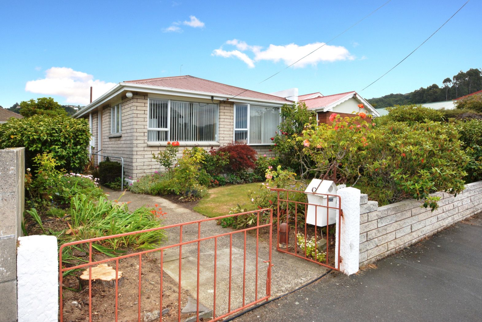 20 Surrey Street, Caversham, Dunedin City