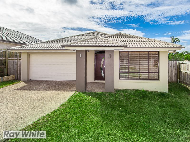 41 Borbidge Street, North Lakes, QLD 4509