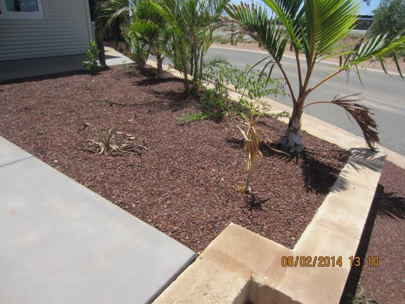 29 Bettong Bend, BAYNTON, WA 6714
