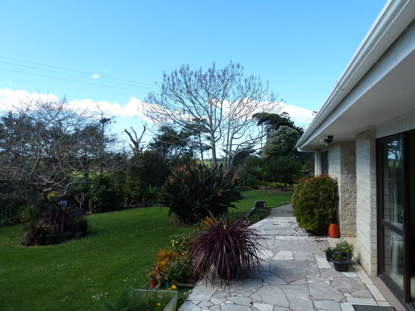 213 Ireland Road, Waitoki, Rodney Real Estate Ray White New Zealand