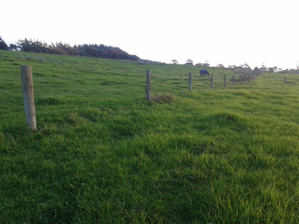 Dairy Flat, Rodney