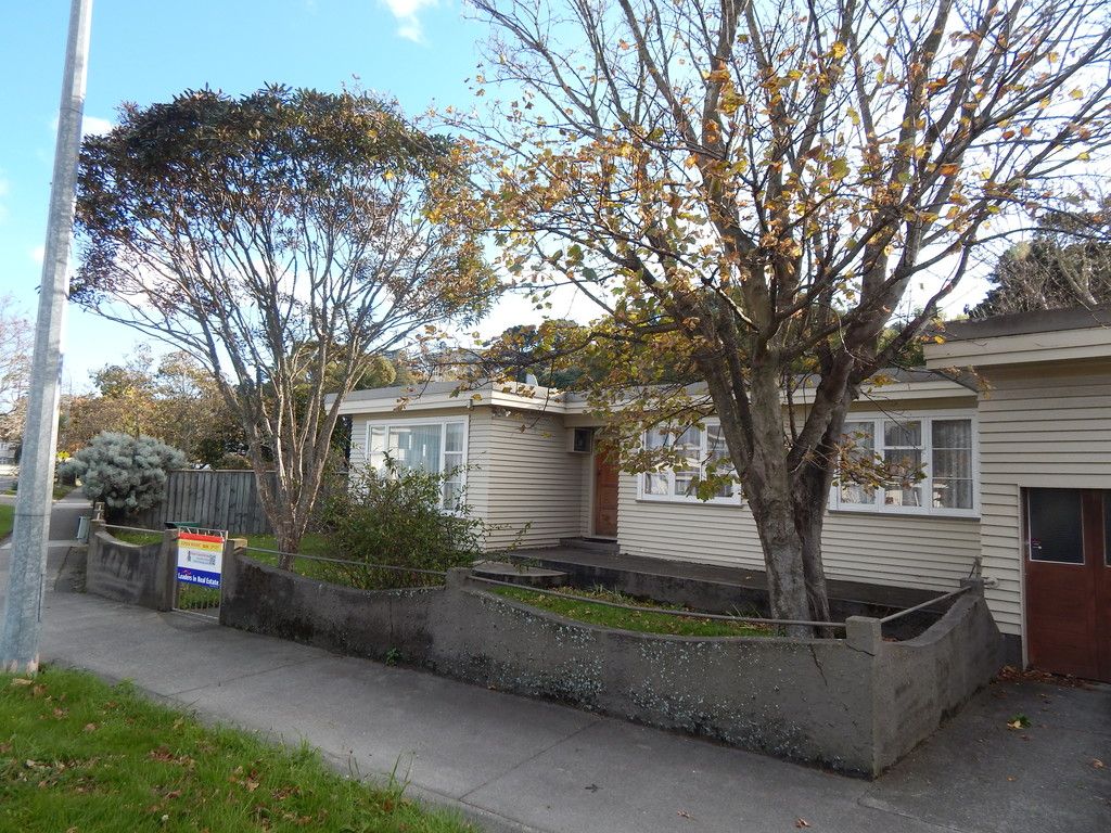35 Pharazyn Street, Melling, Lower Hutt City
