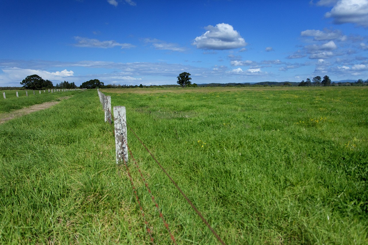 282, 350 and 391 Newtons Road, Dumaresq Island, NSW 2430