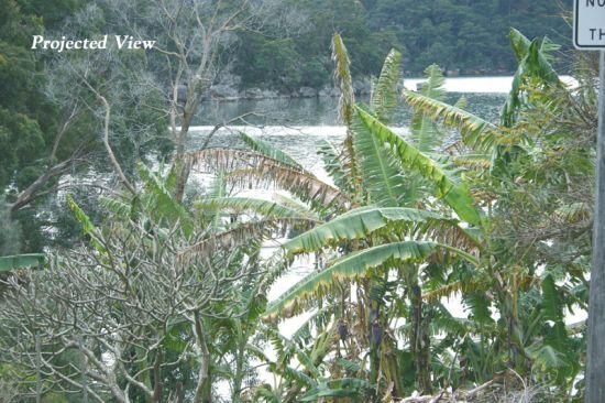 34 Cheero Point Road, Cheero Point, NSW 2083
