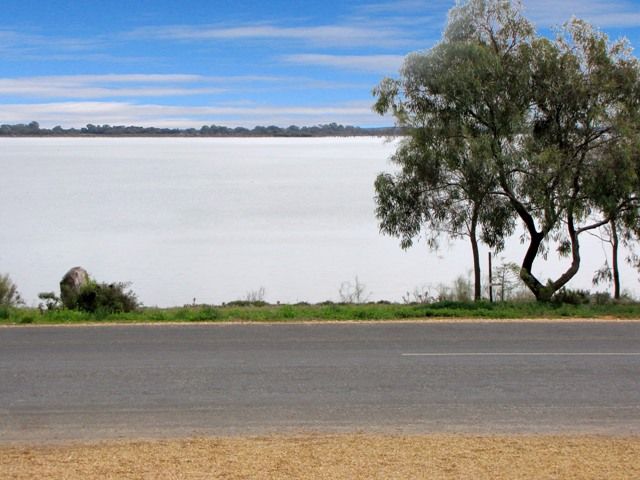 16 Queen Elizabeth Drive, BARMERA, SA 5345