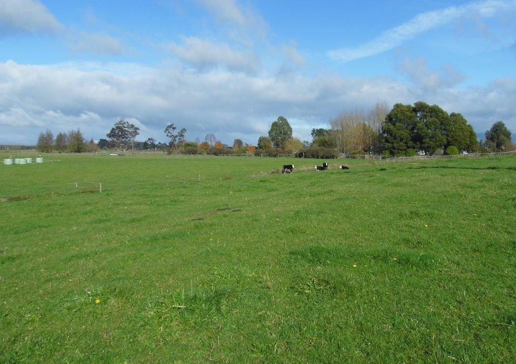 89 Rukuhia Road, Rukuhia, Waipa District