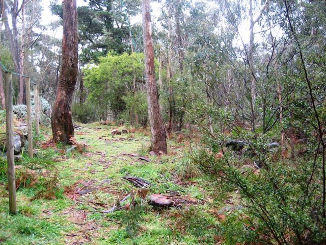 10 Fairlop Road, Medlow Bath, NSW 2780