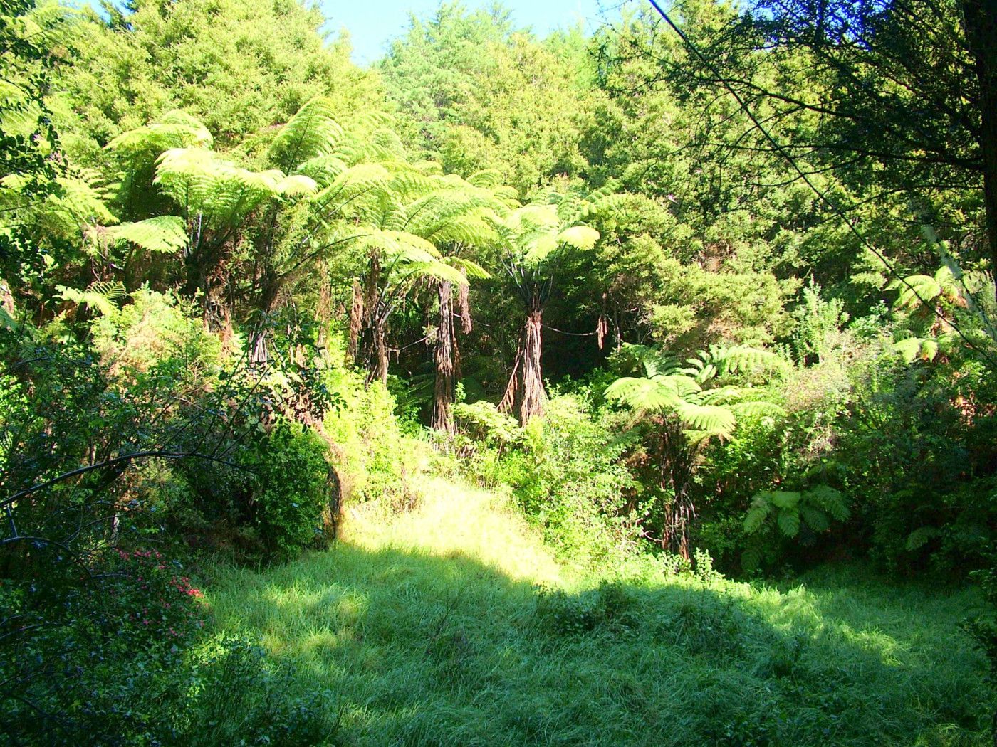 42b Dutton Road, Peria, Far North District