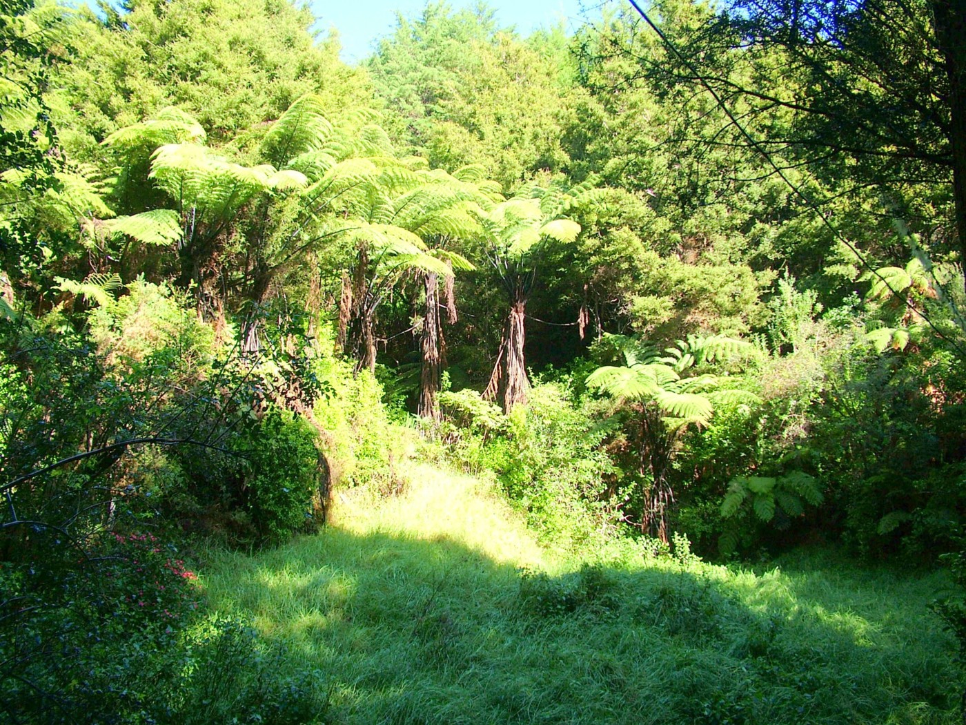 42b Dutton Road, Peria, Far North District