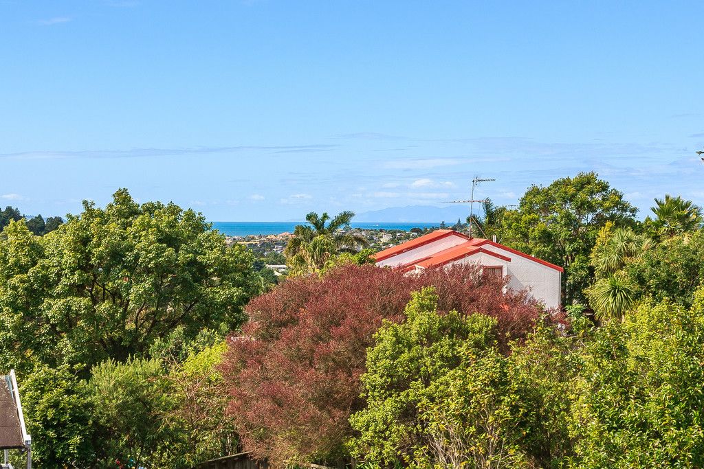 45 Fitzwilliam Drive, Torbay, North Shore City