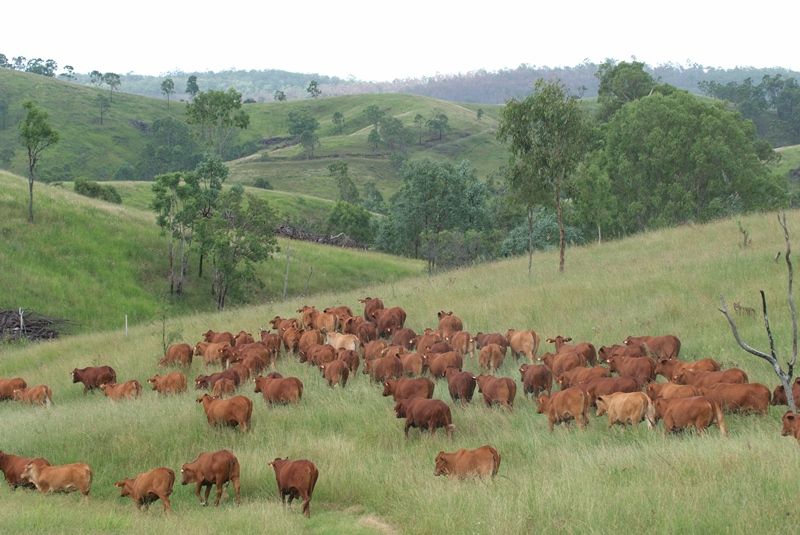 Goomeri, QLD 4601