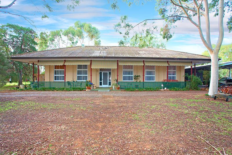 42 McIntyre Road, Macdonald Park, SA 5121