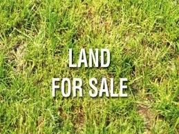 63 Charles Chauvel Drive, Harrisville, QLD 4307