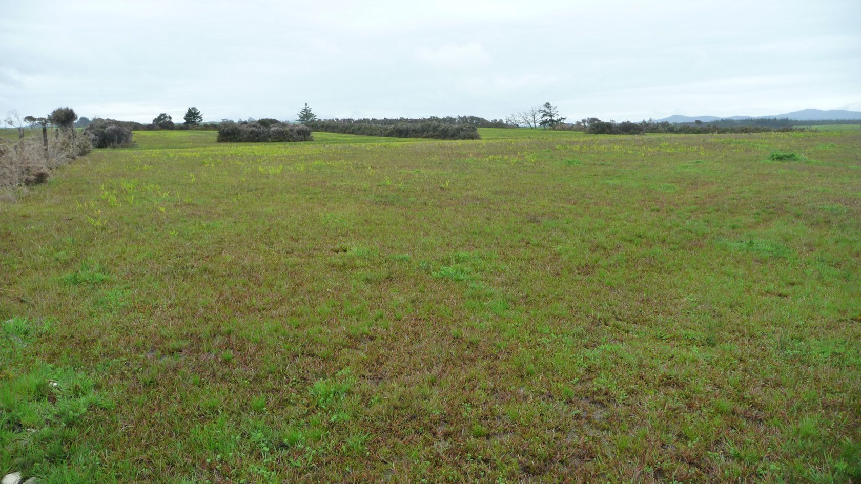 Awanui, Far North District
