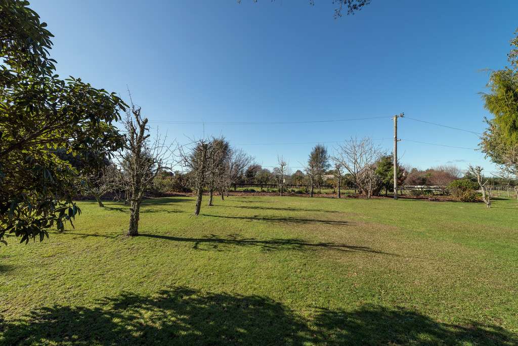 45 Caledonia Road photo 2