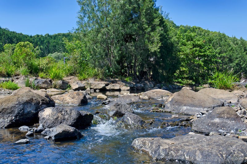 Currumbin Valley, QLD 4223