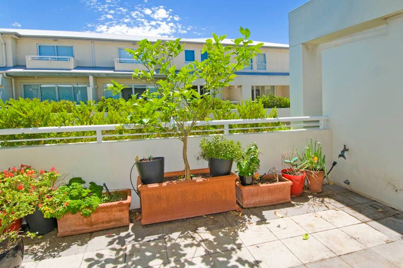 35/674 Botany Road, Alexandria, NSW 2015