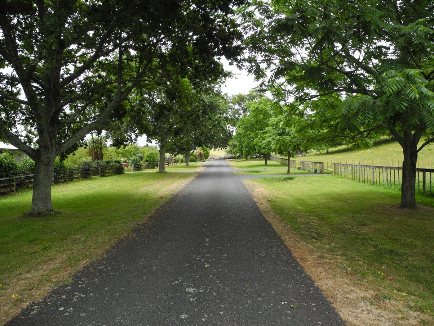 Lot 1 Oak Lane, Pirongia, Waipa District
