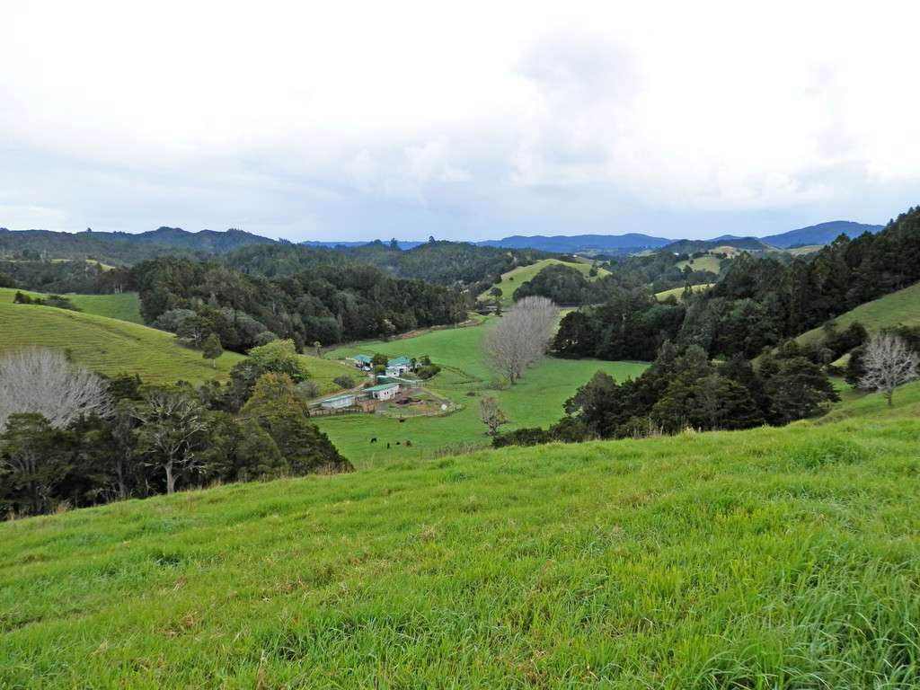 698 Whananaki South Road photo 3