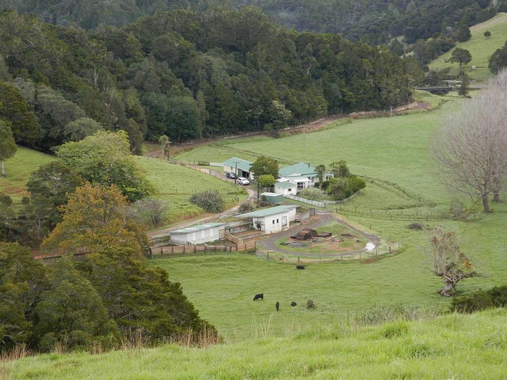 698 Whananaki South Road photo 1