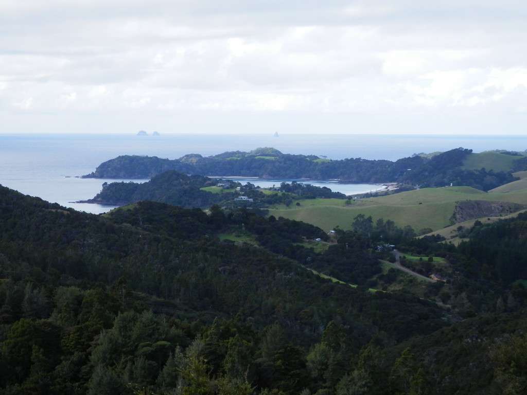 698 Whananaki South Road photo 0