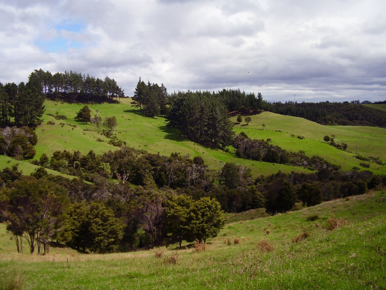 Kaitaia, Far North District