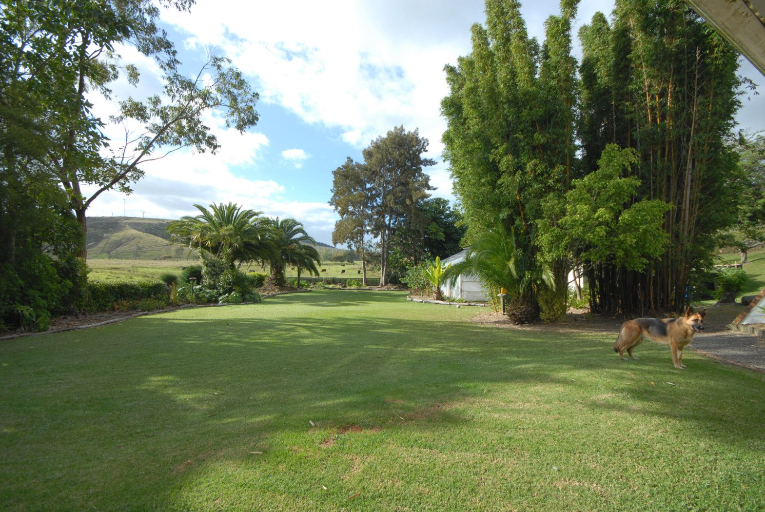 102 Church Road, Kaitaia, Far North District