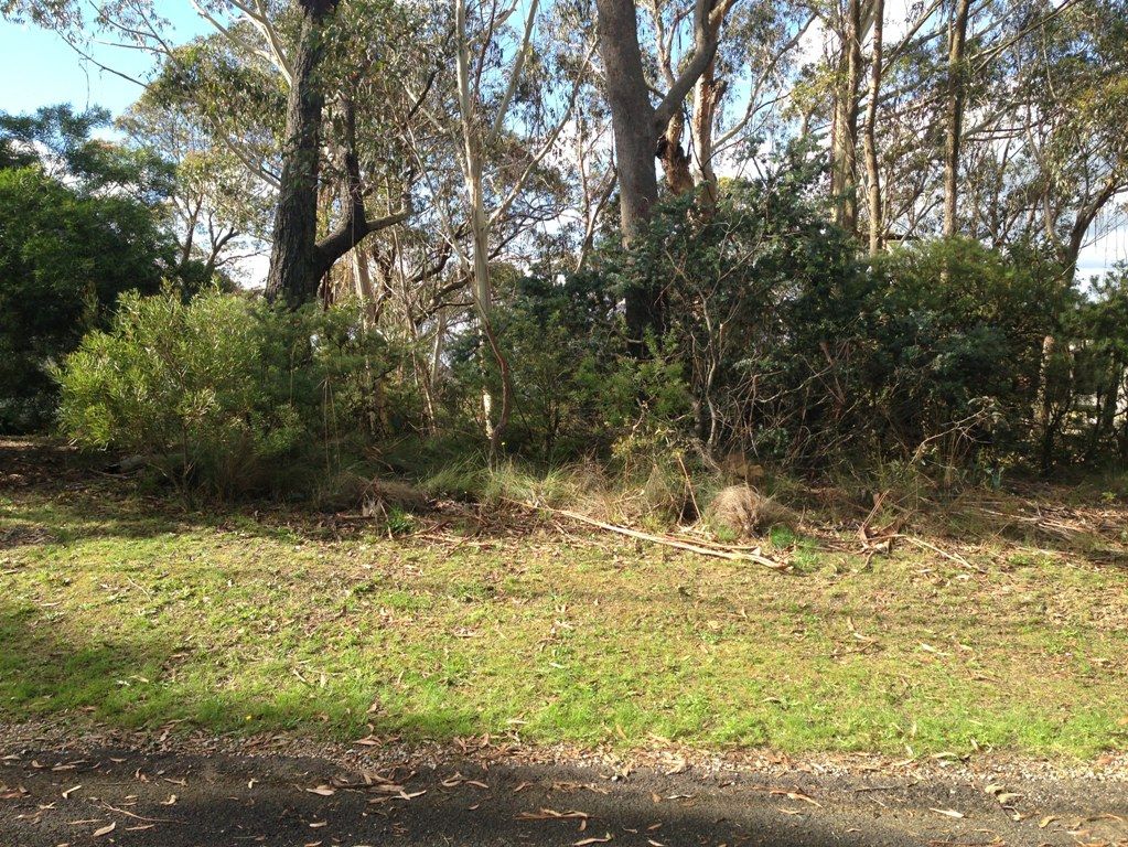 42 Sylvania Street, MOUNT VICTORIA NSW 2786