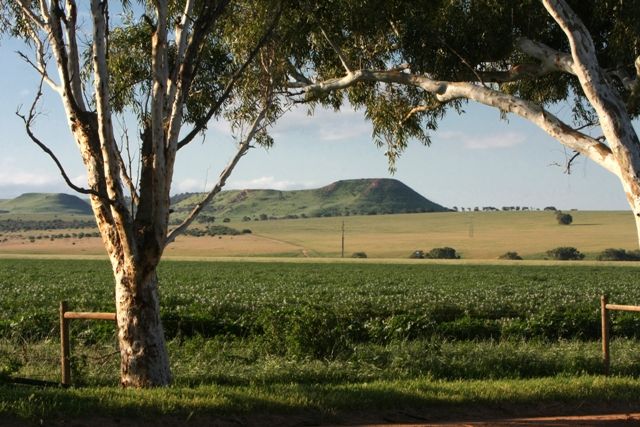 Lot 395 Dorset Drive, DEEPDALE, WA 6532
