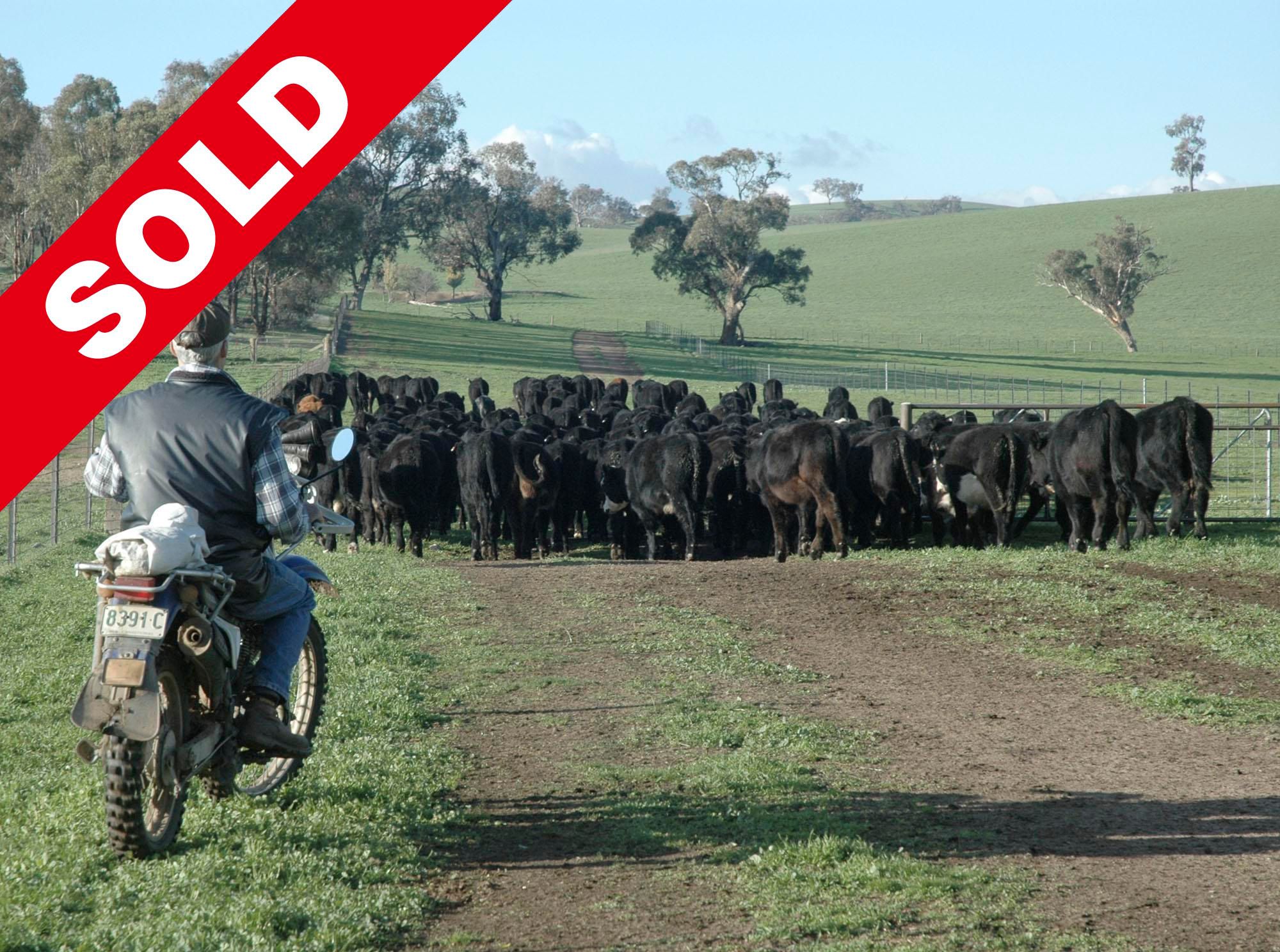 446 Oura Road, Wagga Wagga, NSW Rural Rural Mixed Farming Property Sold