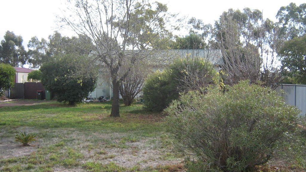 66 Dudley Street, Rochester VIC 3561