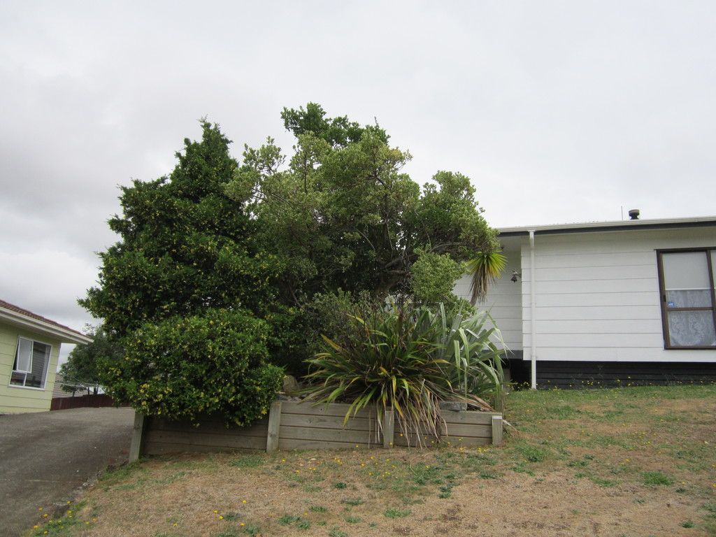 Pukekohe, Franklin