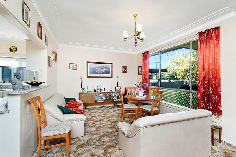 17 Bass Street, Barrack Heights, NSW 2528