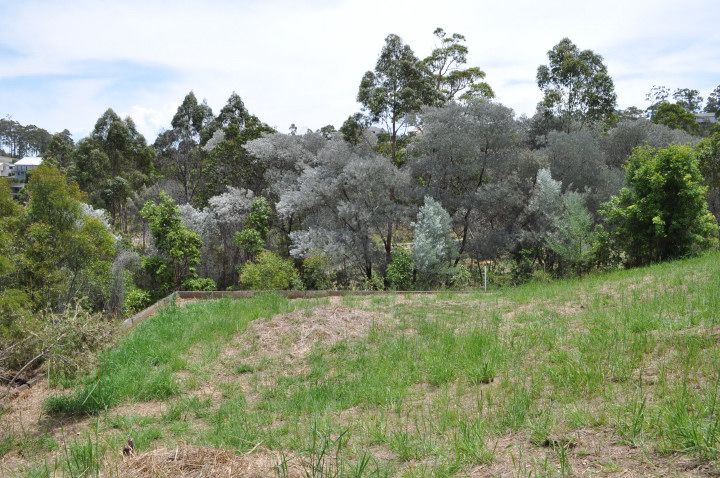 Tallwoods Village, NSW 2430