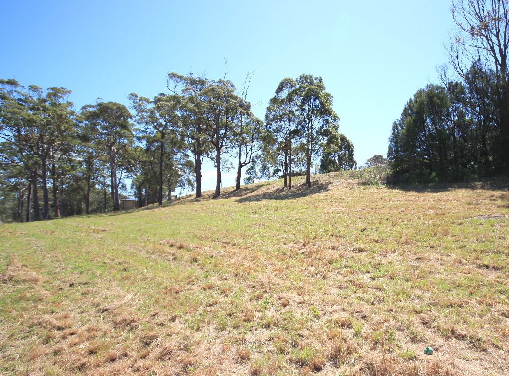 Forster, NSW 2428