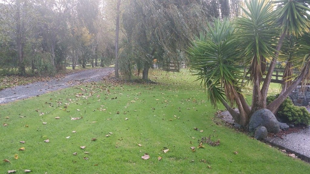 Matakana, Rodney