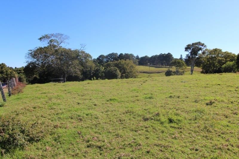 844 Tregeagle Road, Tregeagle, NSW 2480