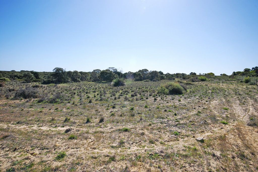Lot 242 Zendora Road, Jurien Bay, WA 6516