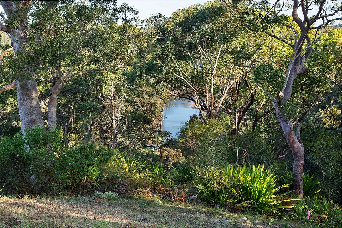 3 Dilkara Circuit, Bangor, NSW 2234