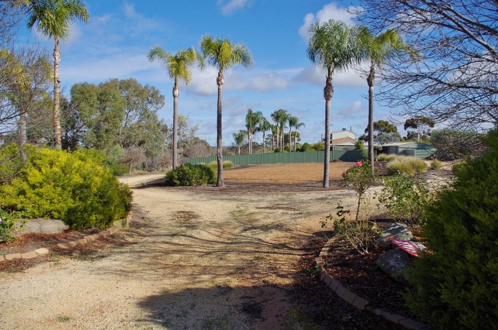 53 Murtho Road, PARINGA, SA 5340