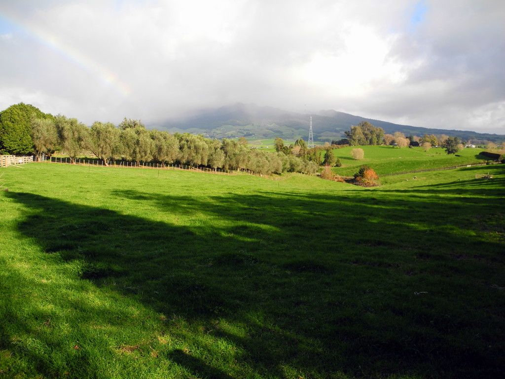165 Bird Road, Pirongia, Waipa District