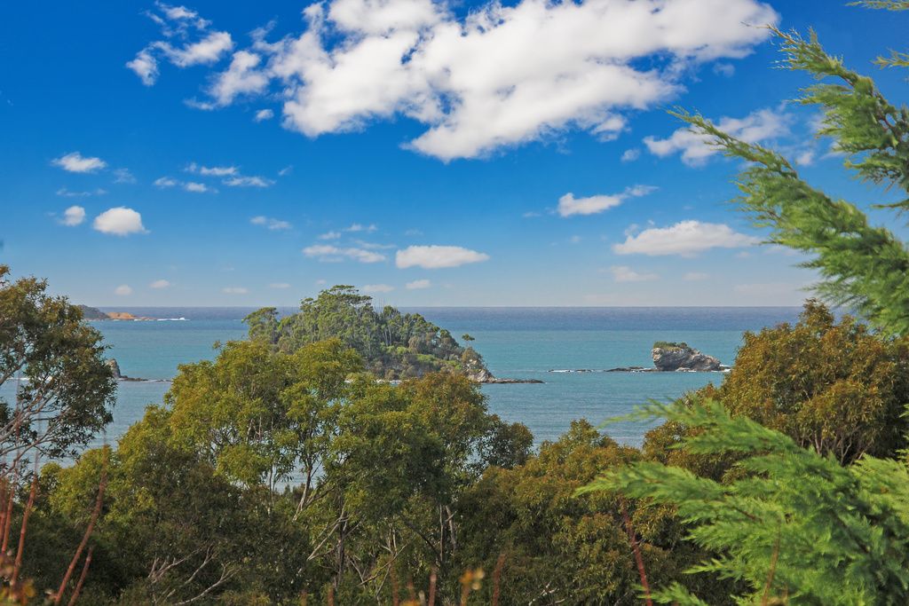 31 Ridge Street, Catalina, NSW 2536