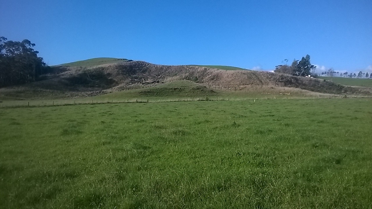193 Collie Road, Te Kowhai, Hamilton City