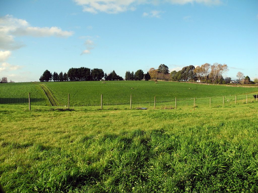 0 Puahue Road, Te Awamutu, Waipa District