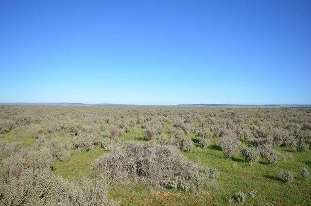 Lot 11 Blyth Road, Everard Central, SA 5461