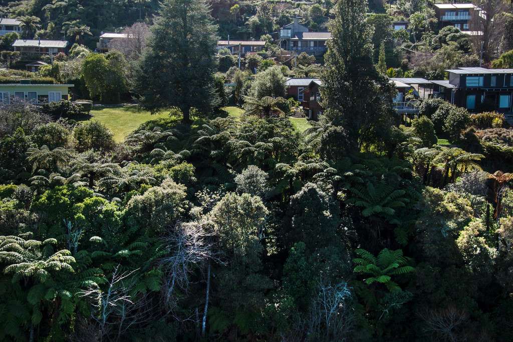 559 Spencer Road photo 3
