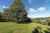 559 Spencer Road photo 6