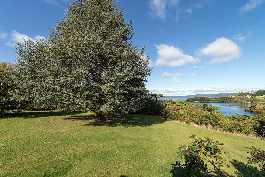 559 Spencer Road photo 6