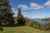 559 Spencer Road photo 7